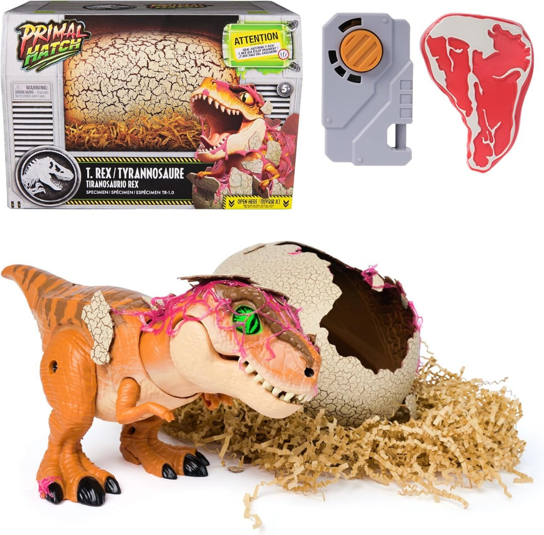 Interactive Hatching Dinosaur Egg