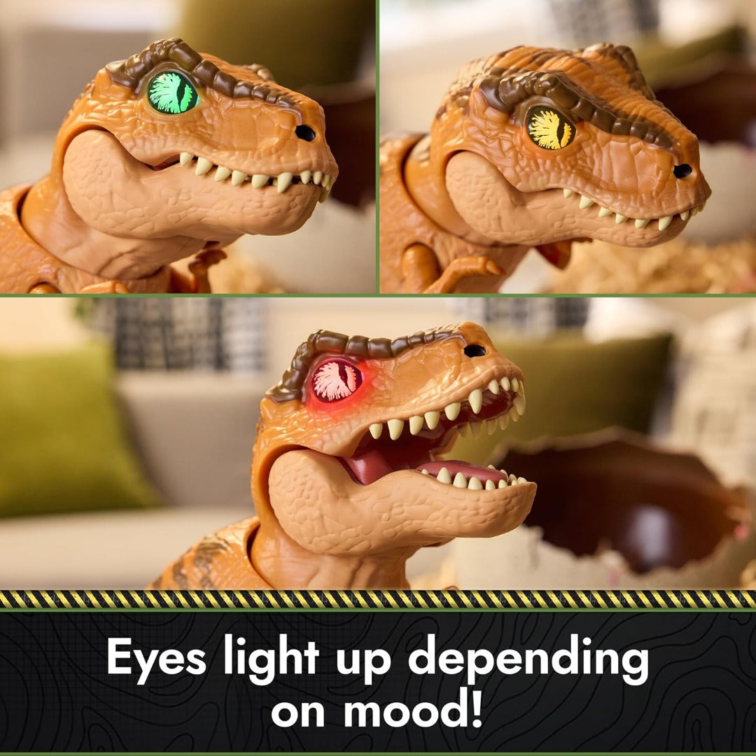 Interactive Hatching Dinosaur Egg