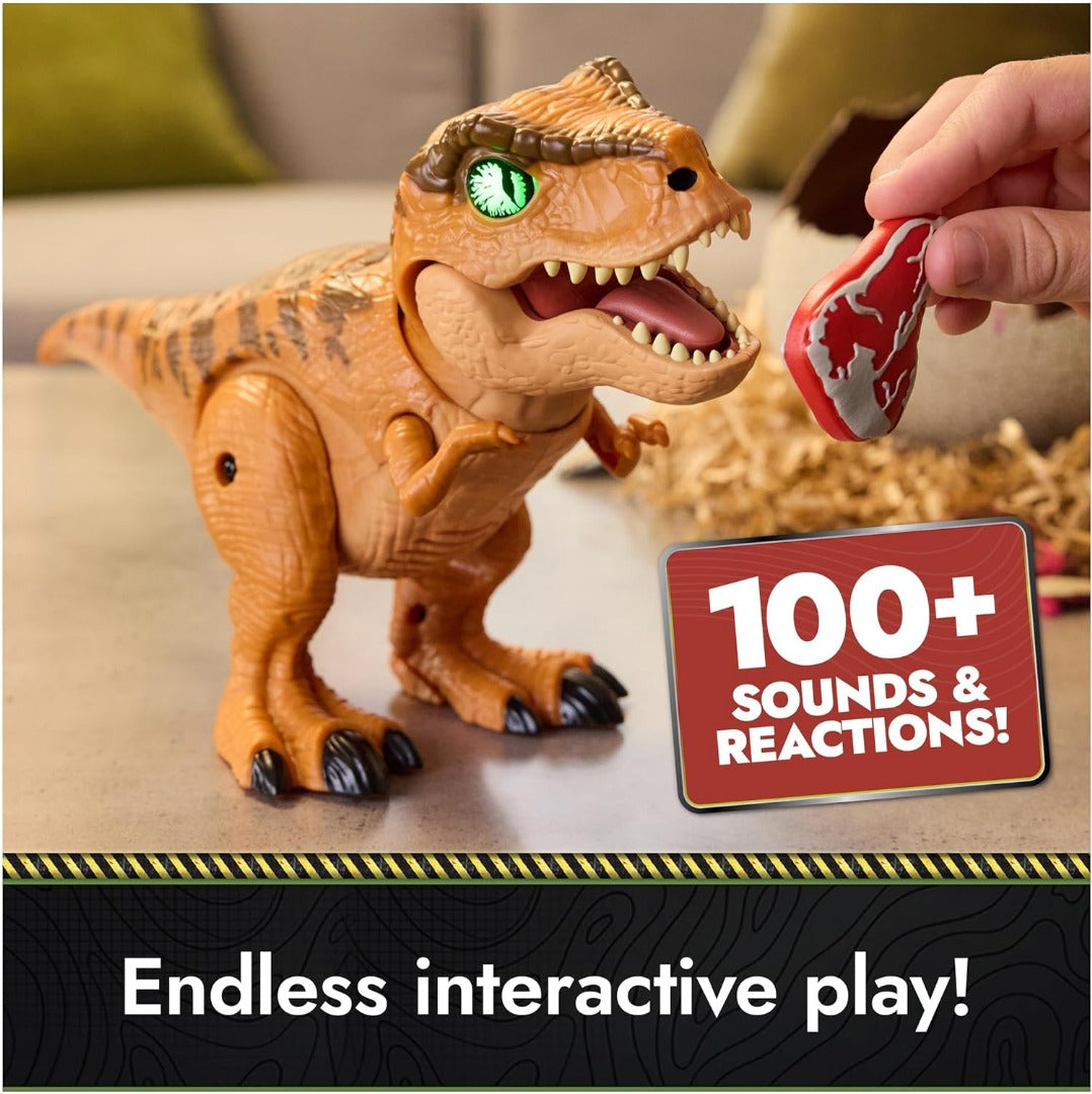 Interactive Hatching Dinosaur Egg
