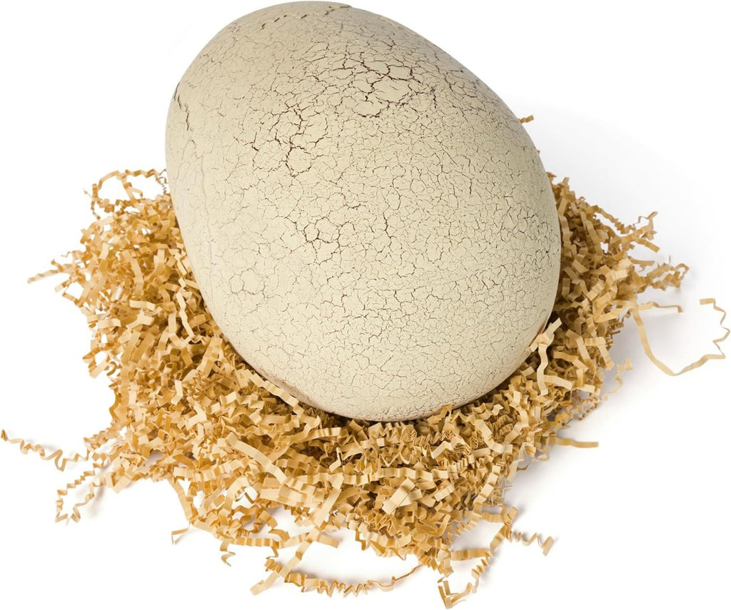 Interactive Hatching Dinosaur Egg