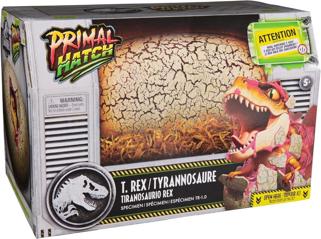 Interactive Hatching Dinosaur Egg